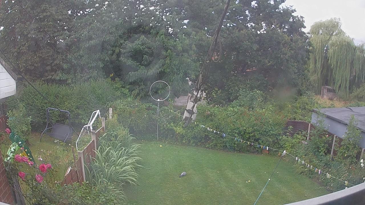 20260805_110130_cam1.jpg