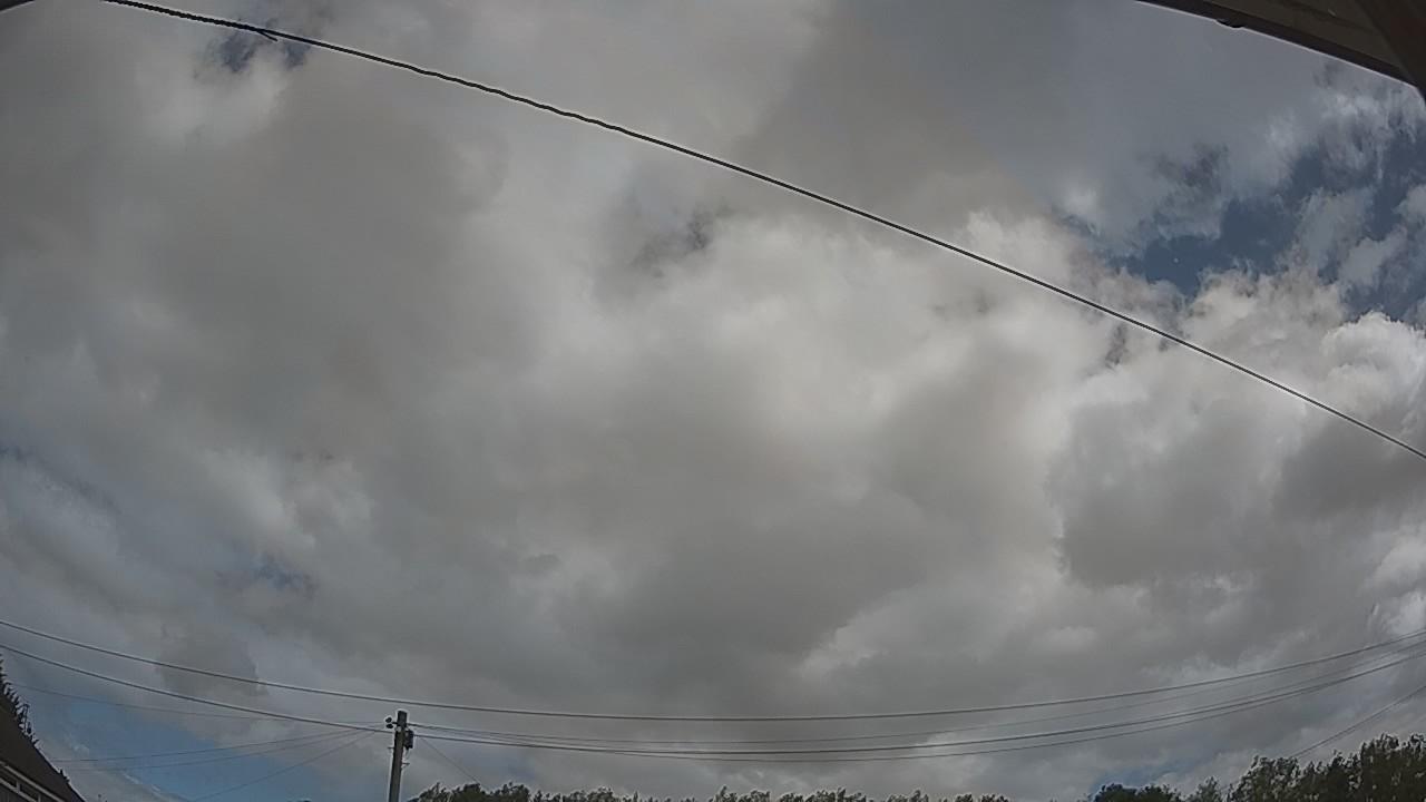 20260805_110131_cam2.jpg