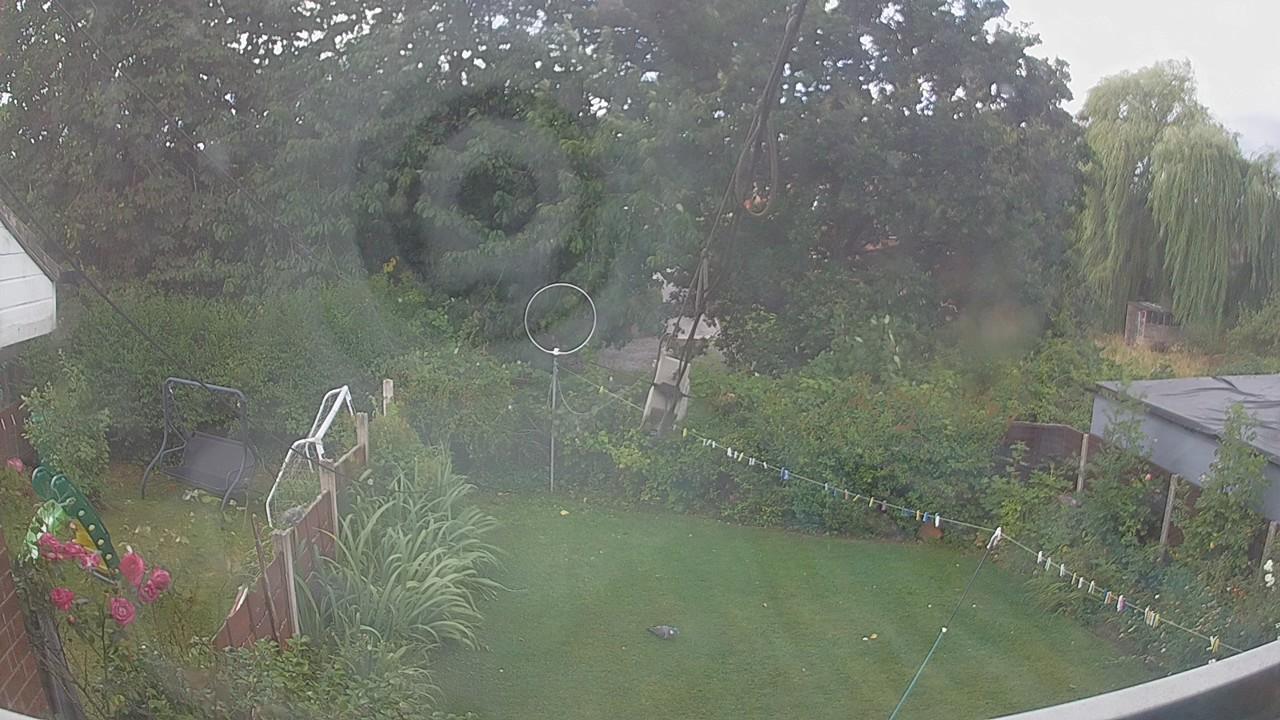 20260805_110342_cam1.jpg
