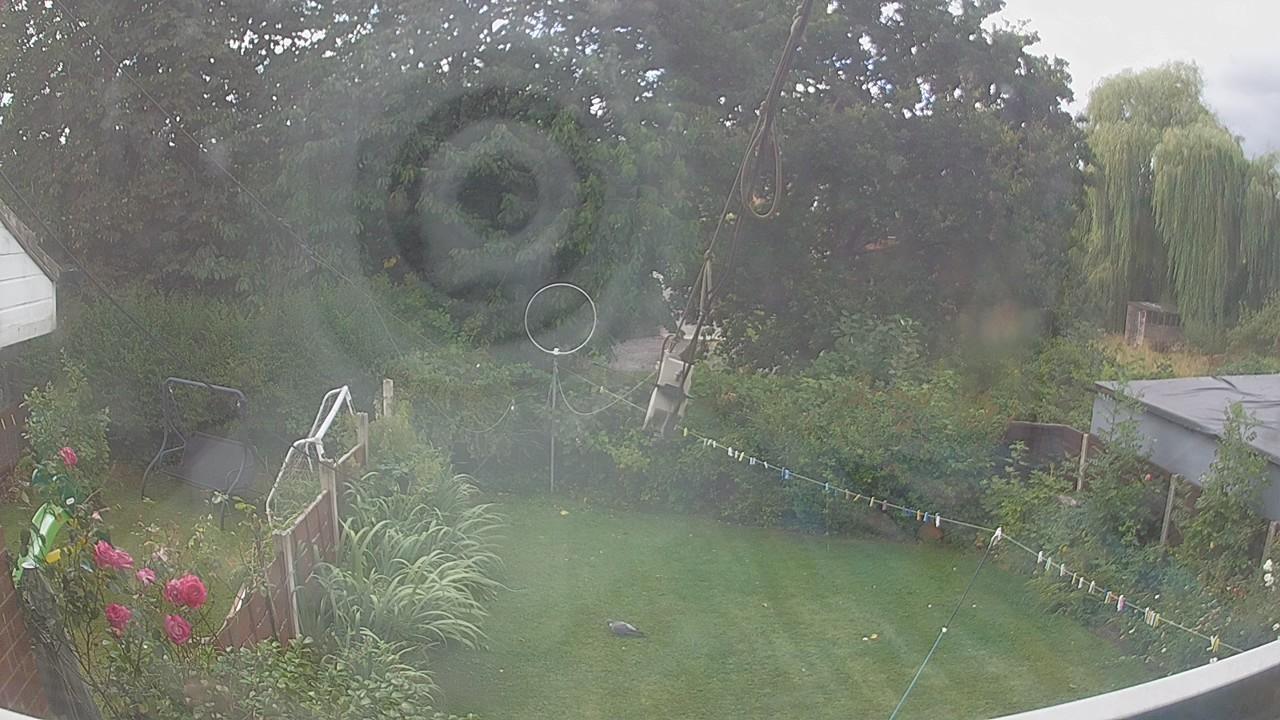 20260805_110554_cam1.jpg