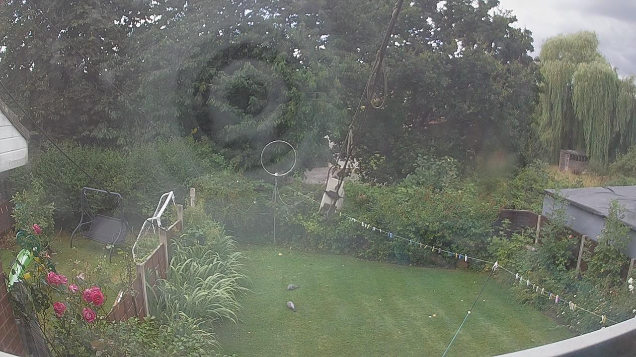 20260805_110806_cam1.jpg