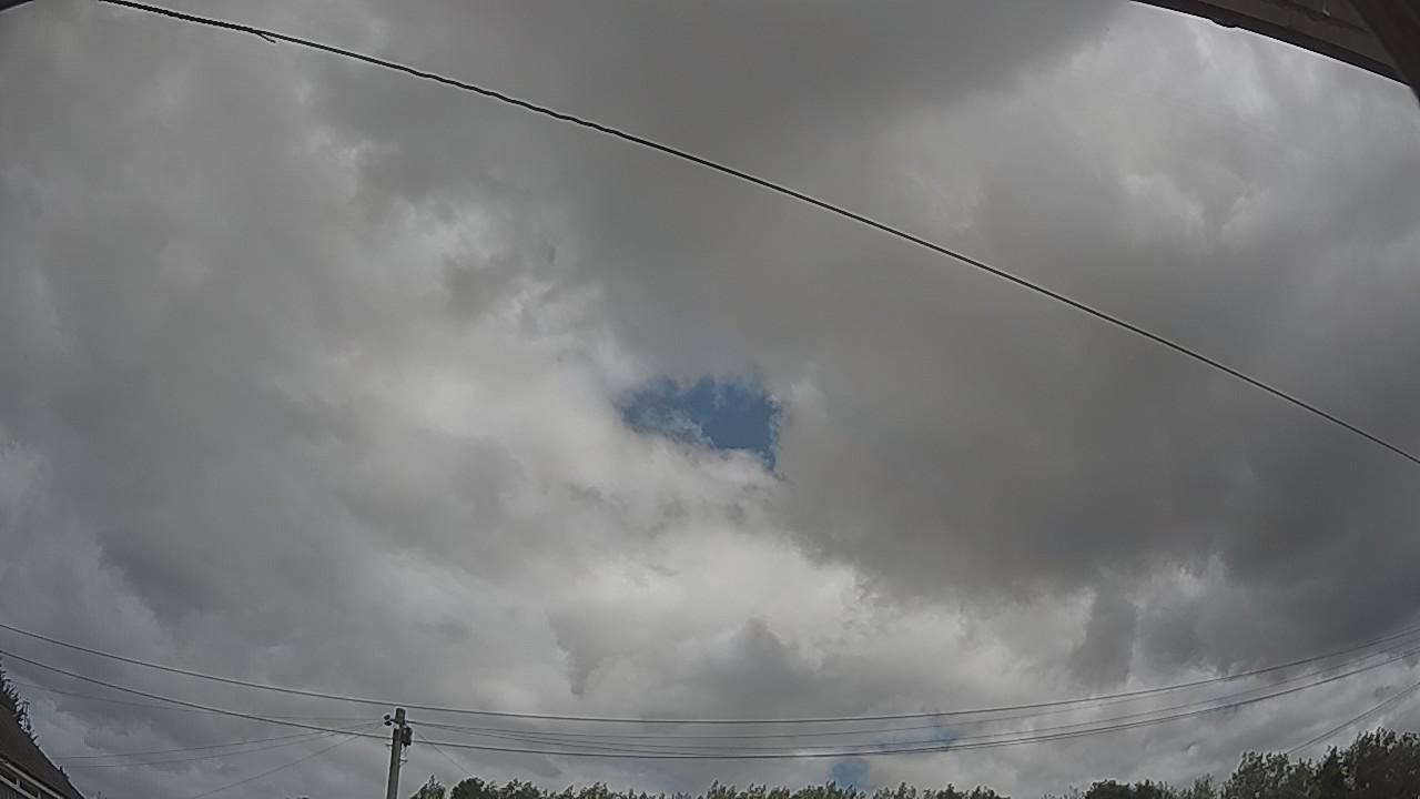20260805_110807_cam2.jpg