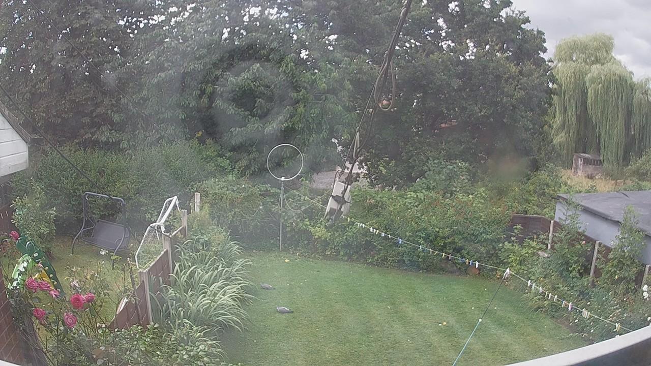 20260805_111017_cam1.jpg