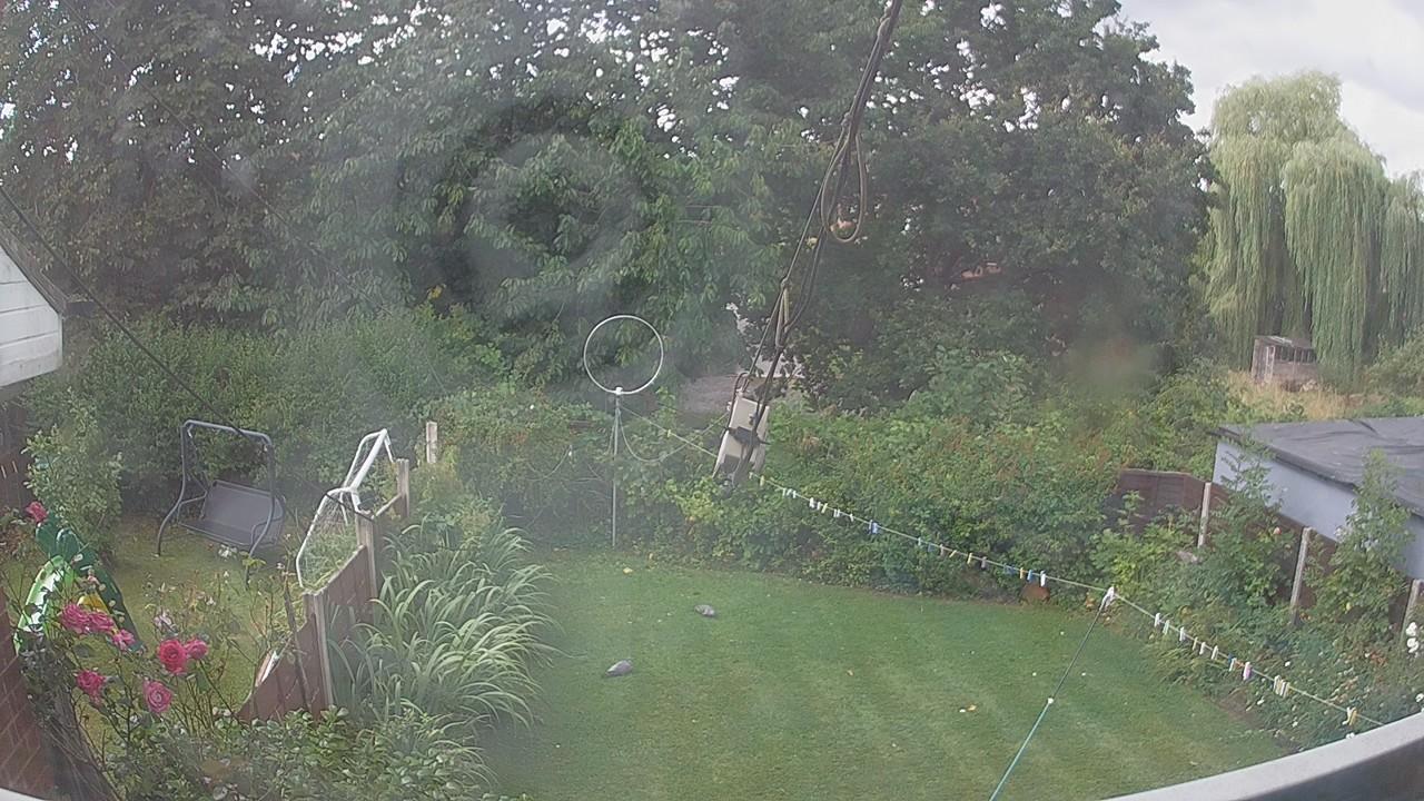 20260805_111229_cam1.jpg