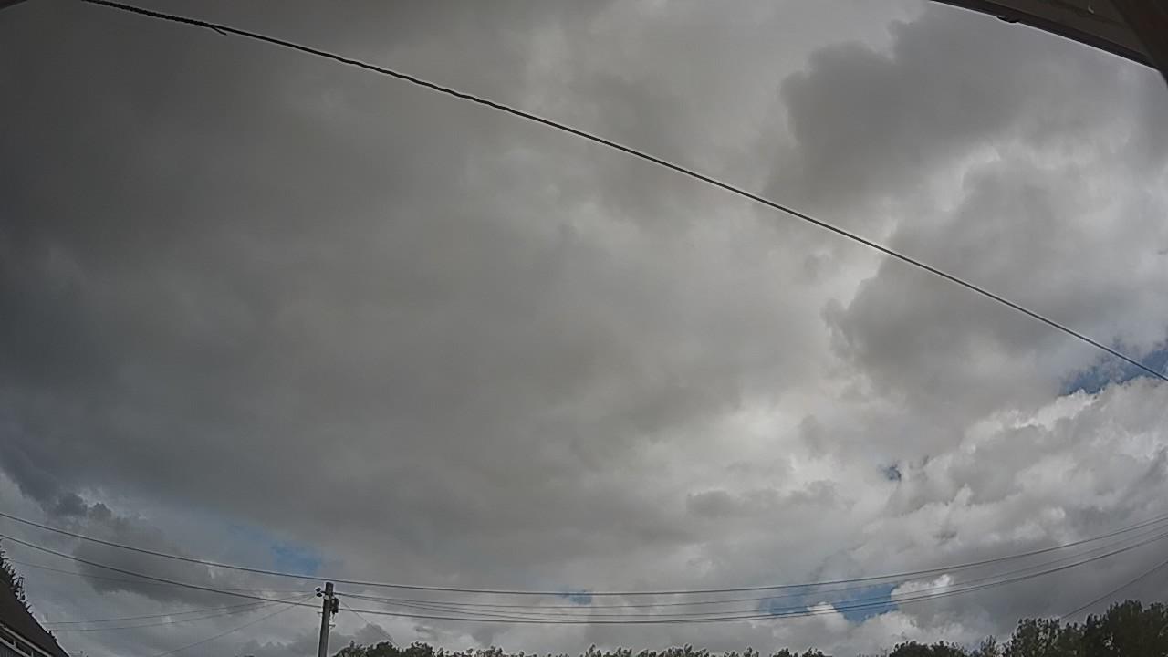 20260805_111230_cam2.jpg