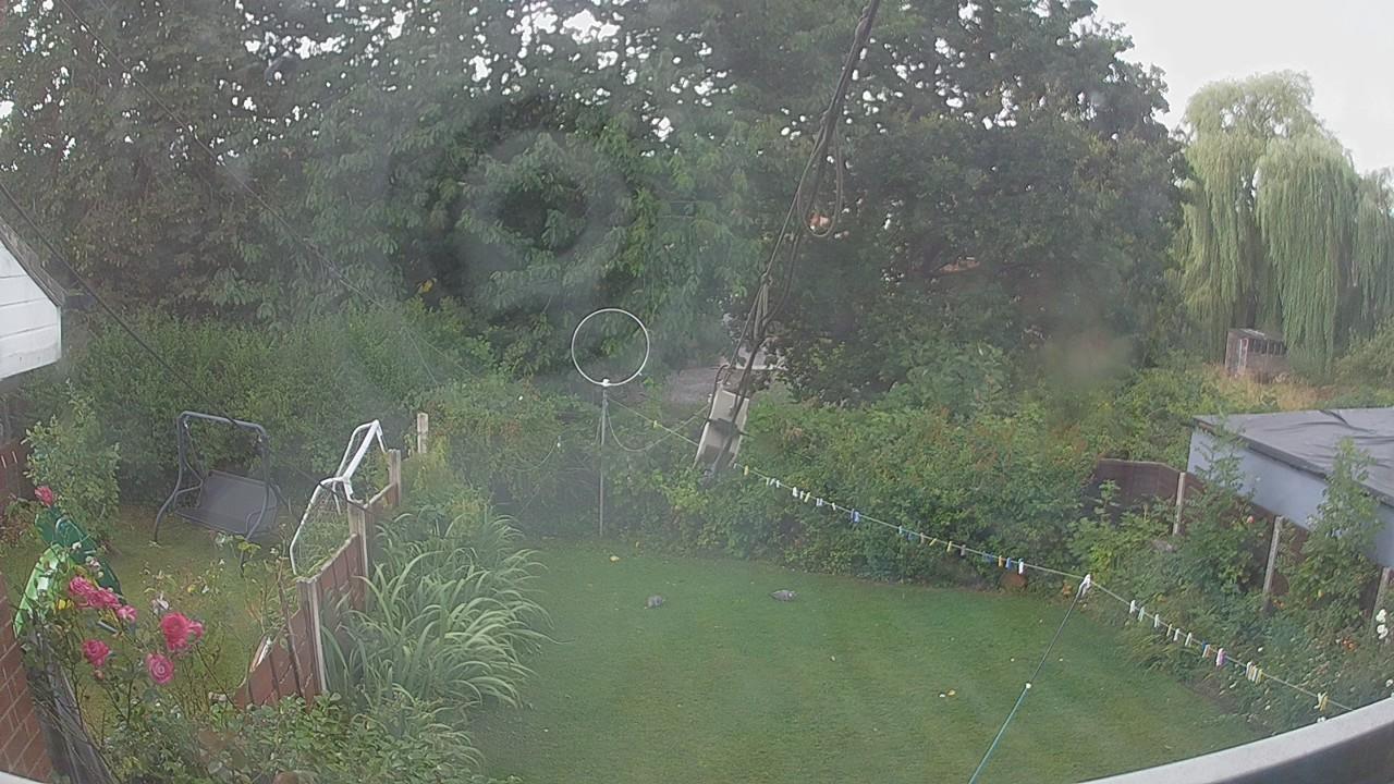 20260805_111441_cam1.jpg