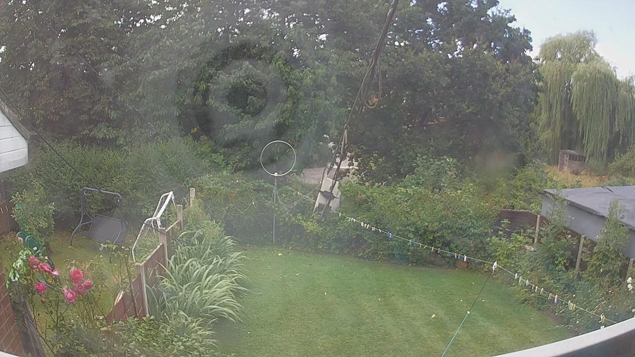 20260805_113000_cam1.jpg