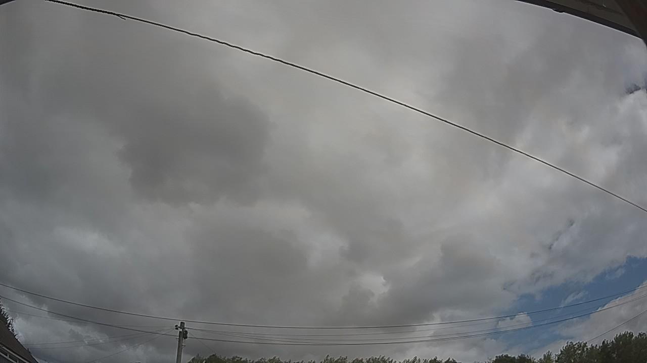 20260805_113001_cam2.jpg
