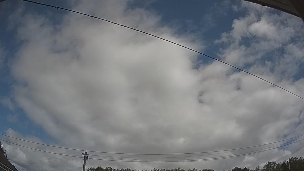 20260805_113425_cam2.jpg