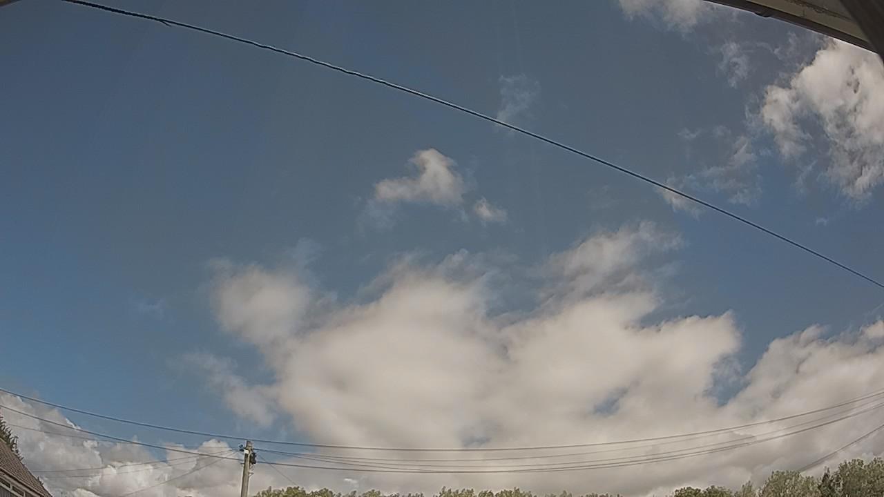 20260805_113636_cam2.jpg