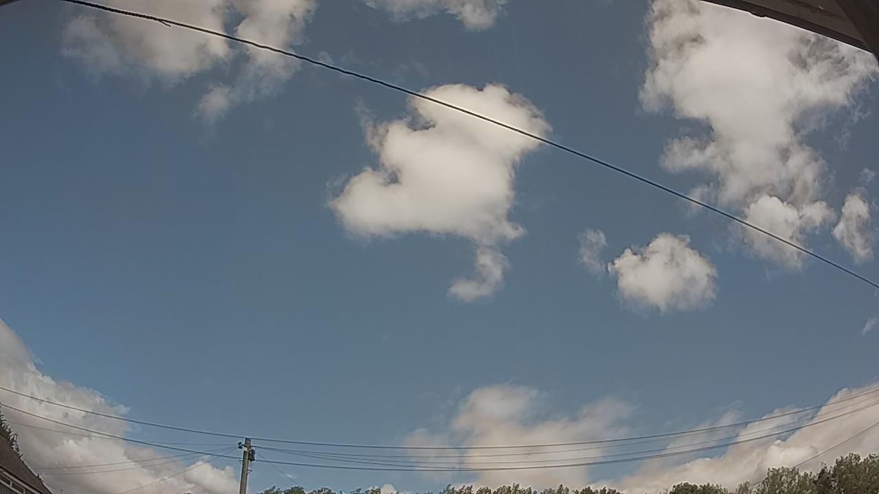 20260805_113848_cam2.jpg
