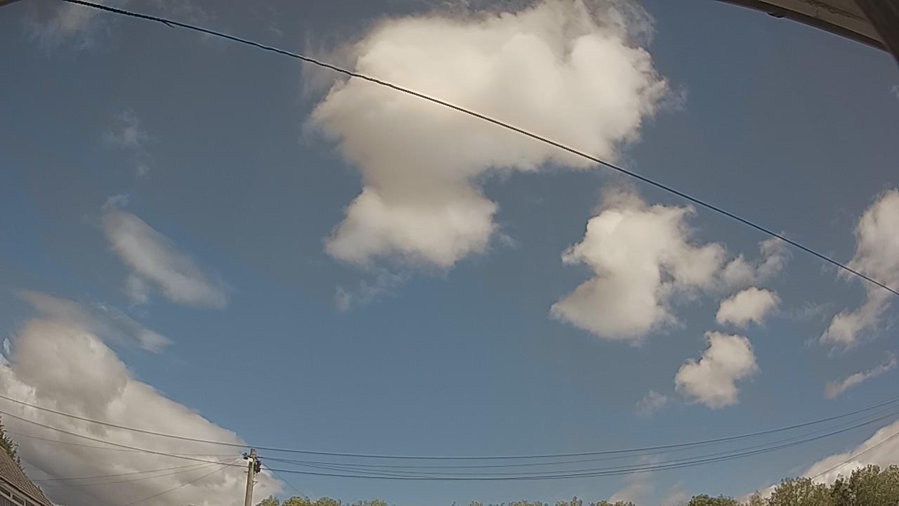 20260805_114059_cam2.jpg