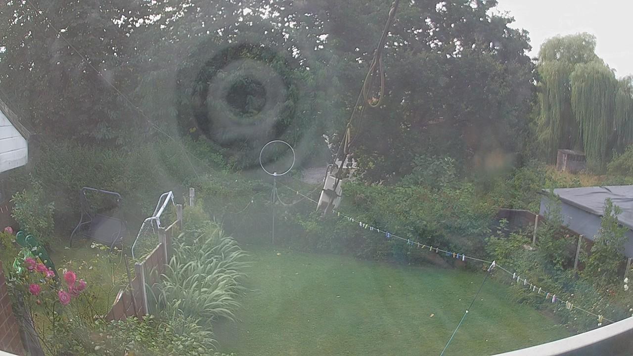 20260805_114309_cam1.jpg