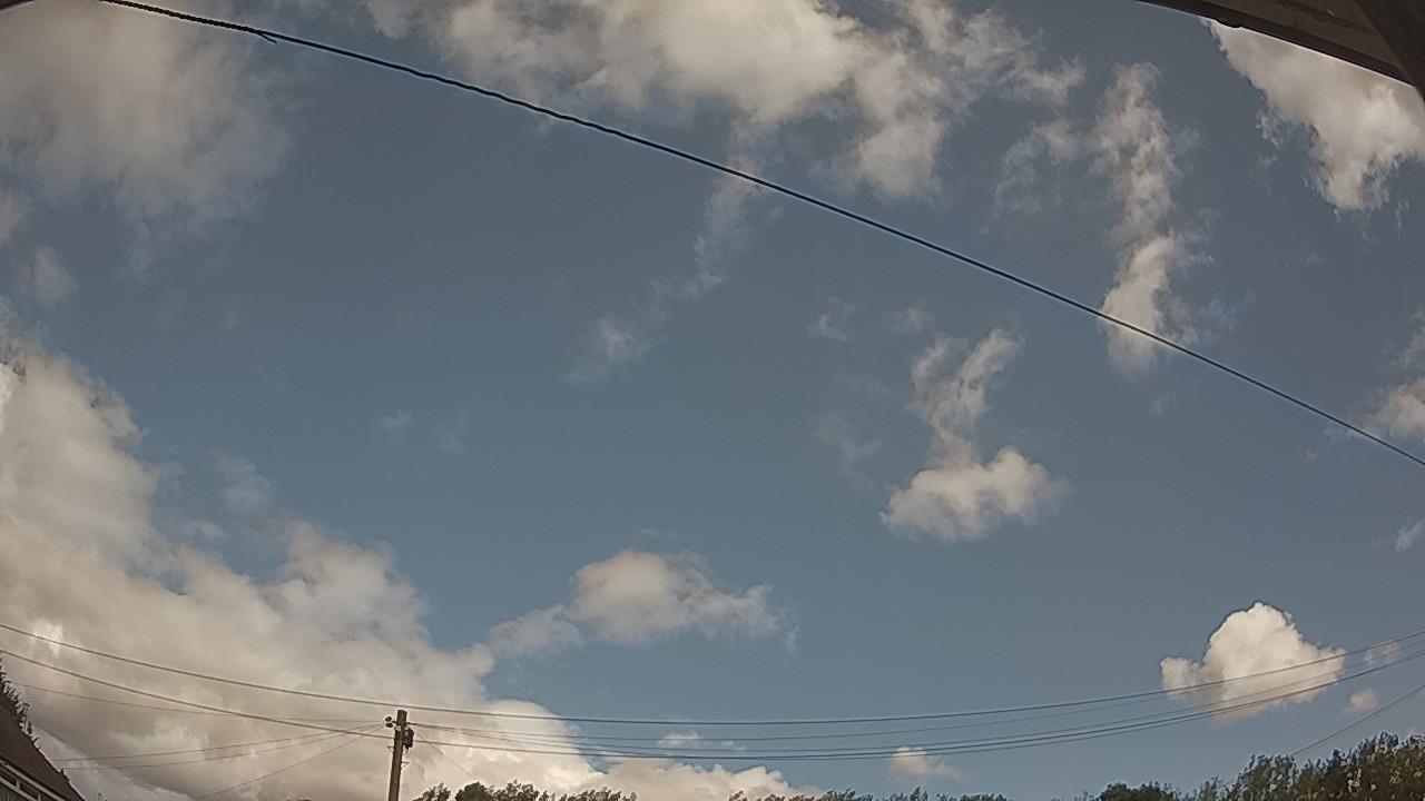 20260805_114521_cam2.jpg