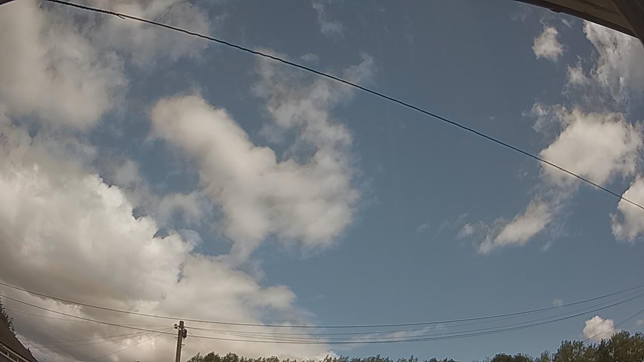 20260805_114733_cam2.jpg