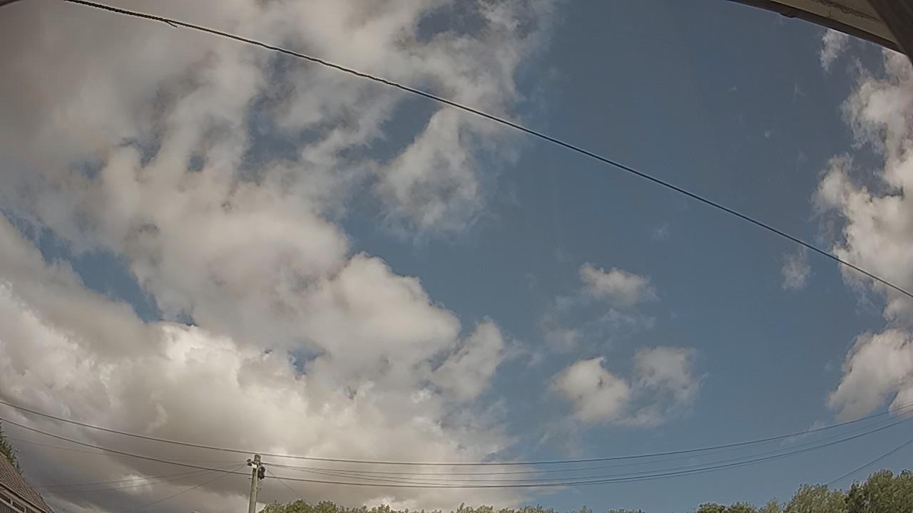 20260805_114944_cam2.jpg