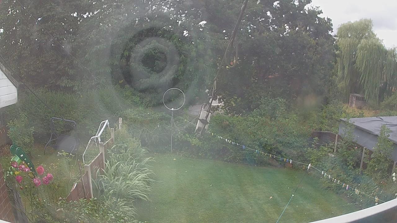 20260805_115155_cam1.jpg