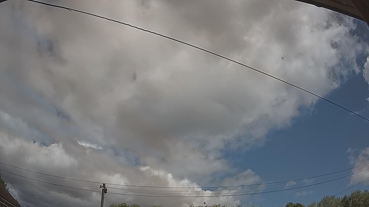 20260805_115156_cam2.jpg