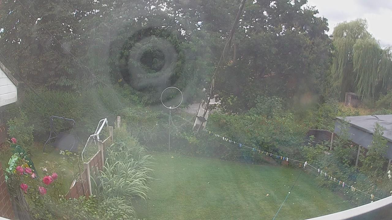 20260805_115407_cam1.jpg