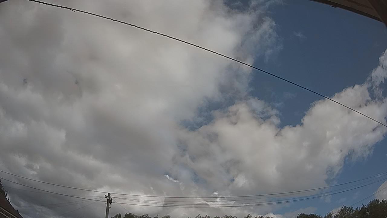 20260805_115408_cam2.jpg