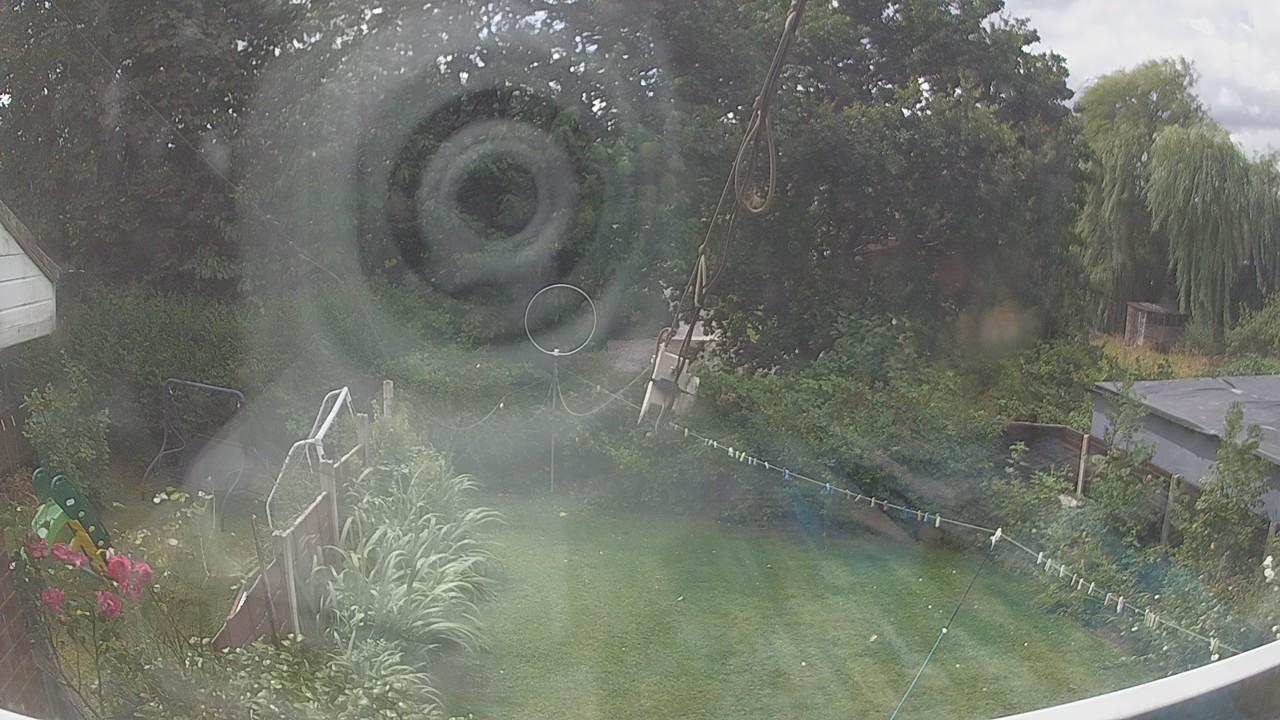 20260805_115618_cam1.jpg