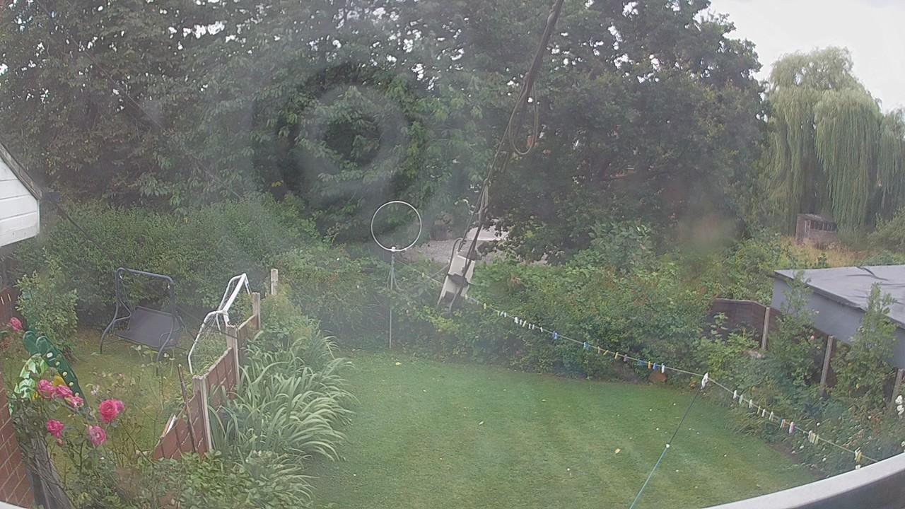 20260805_120117_cam1.jpg