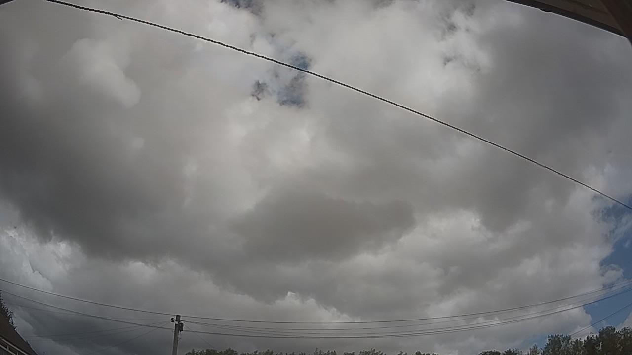 20260805_120118_cam2.jpg