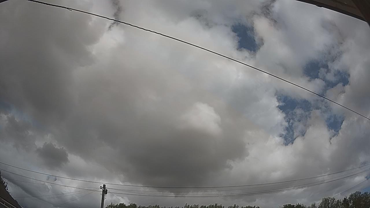 20260805_120347_cam2.jpg