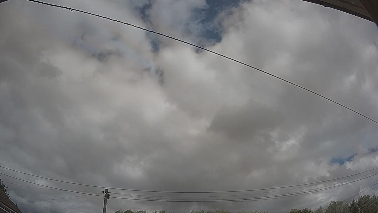 20260805_121343_cam2.jpg