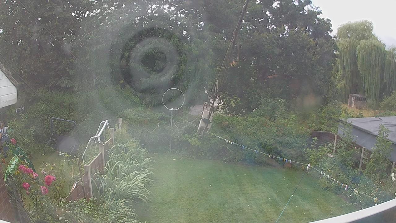 20260805_121842_cam1.jpg