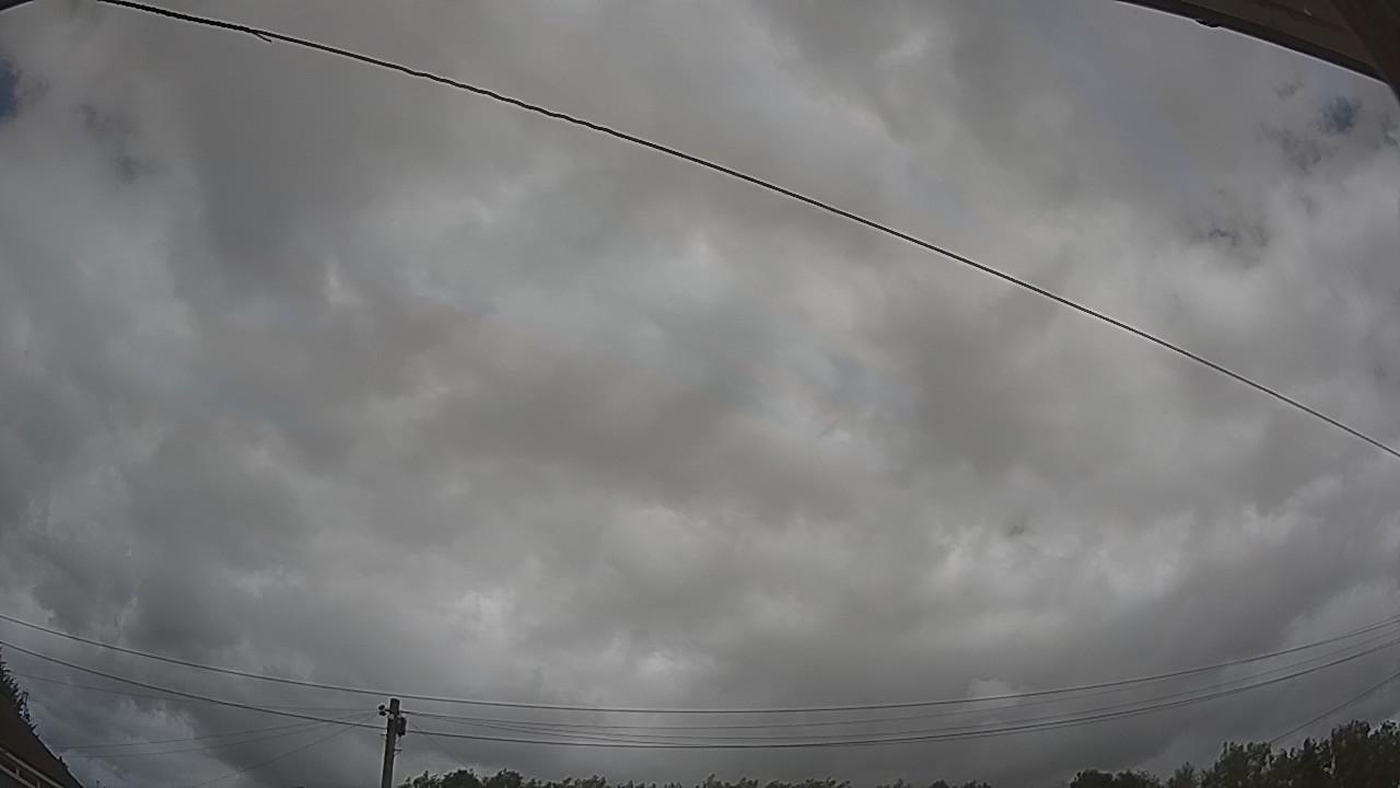 20260805_123037_cam2.jpg
