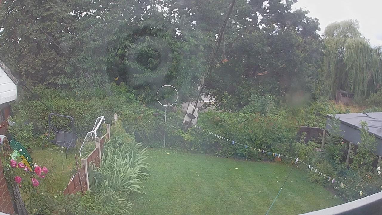20260805_123500_cam1.jpg