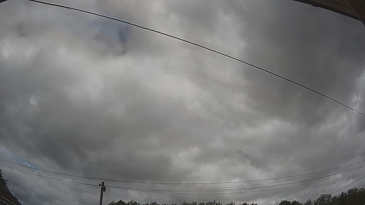20260805_123501_cam2.jpg
