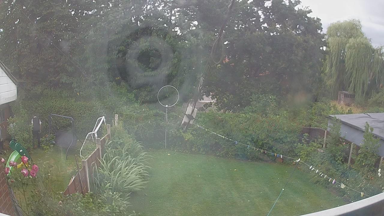 20260805_123924_cam1.jpg