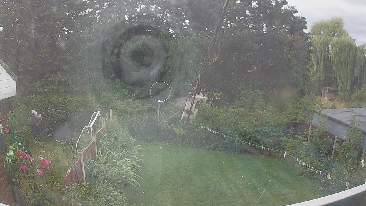 20260805_124137_cam1.jpg