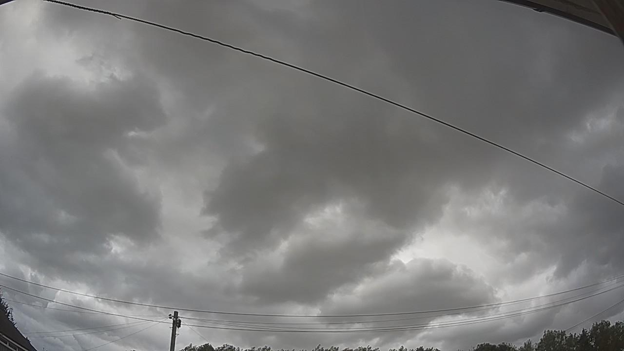 20260805_124602_cam2.jpg