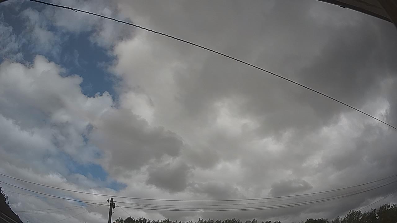 20260805_125026_cam2.jpg