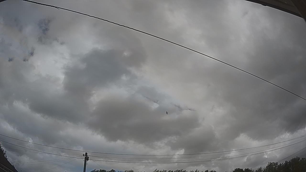 20260805_125238_cam2.jpg