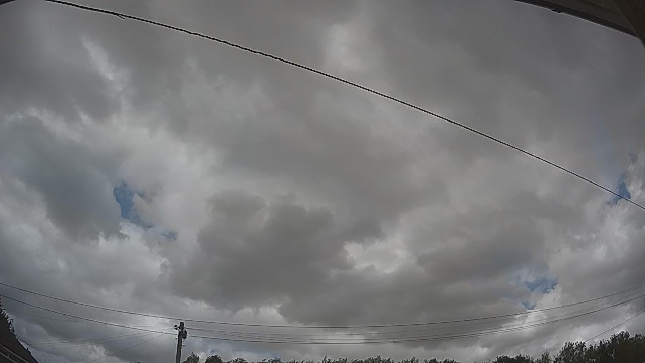 20260805_125450_cam2.jpg