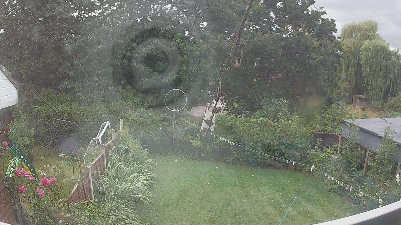 20260805_125913_cam1.jpg