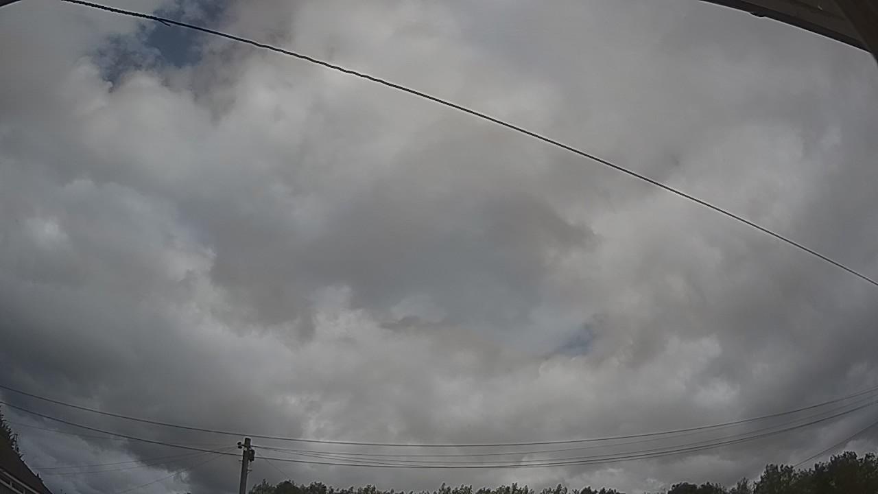 20260805_130127_cam2.jpg