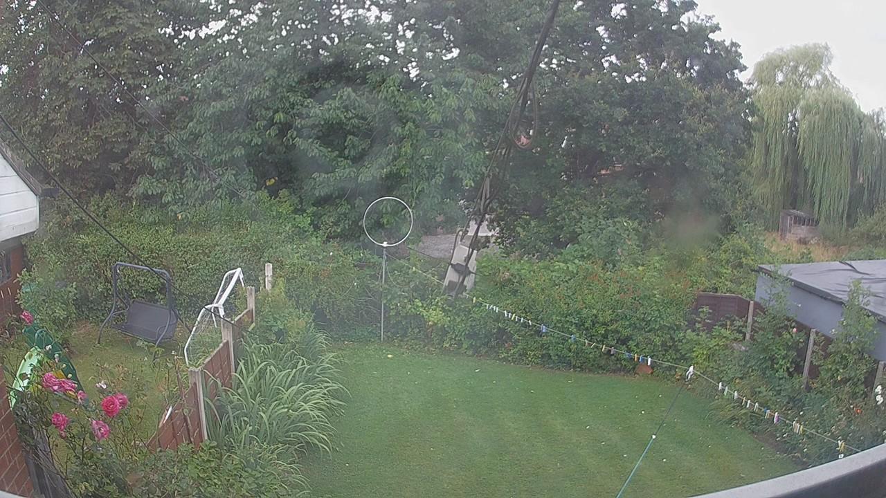 20260805_130338_cam1.jpg