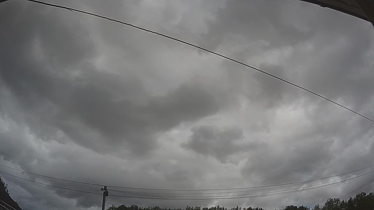 20260805_130339_cam2.jpg