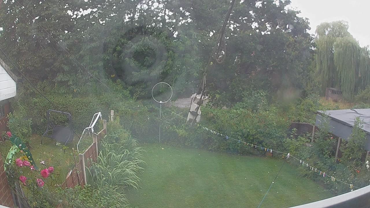 20260805_130550_cam1.jpg