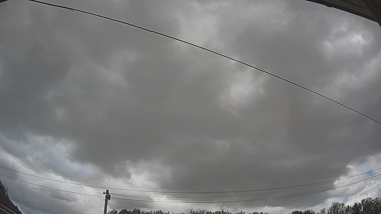 20260805_130803_cam2.jpg