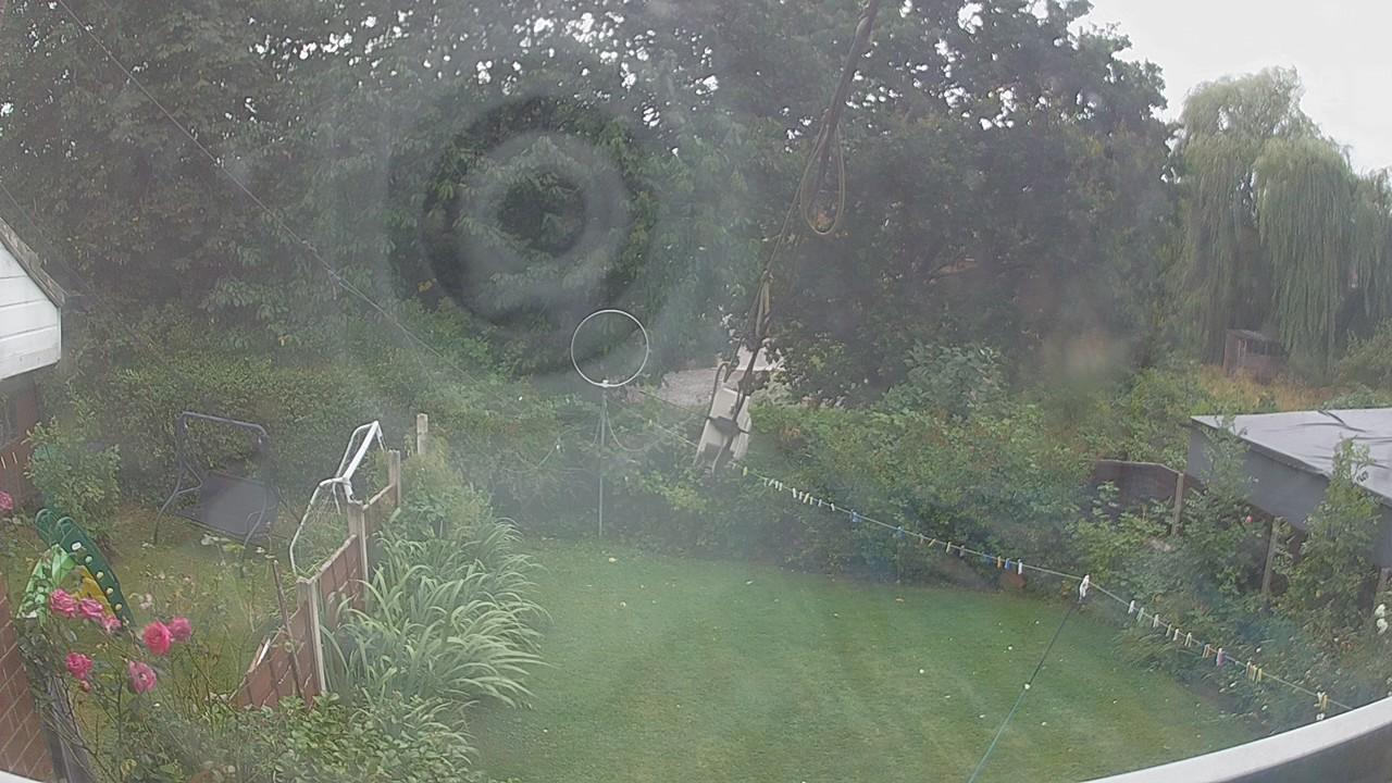 20260805_131226_cam1.jpg