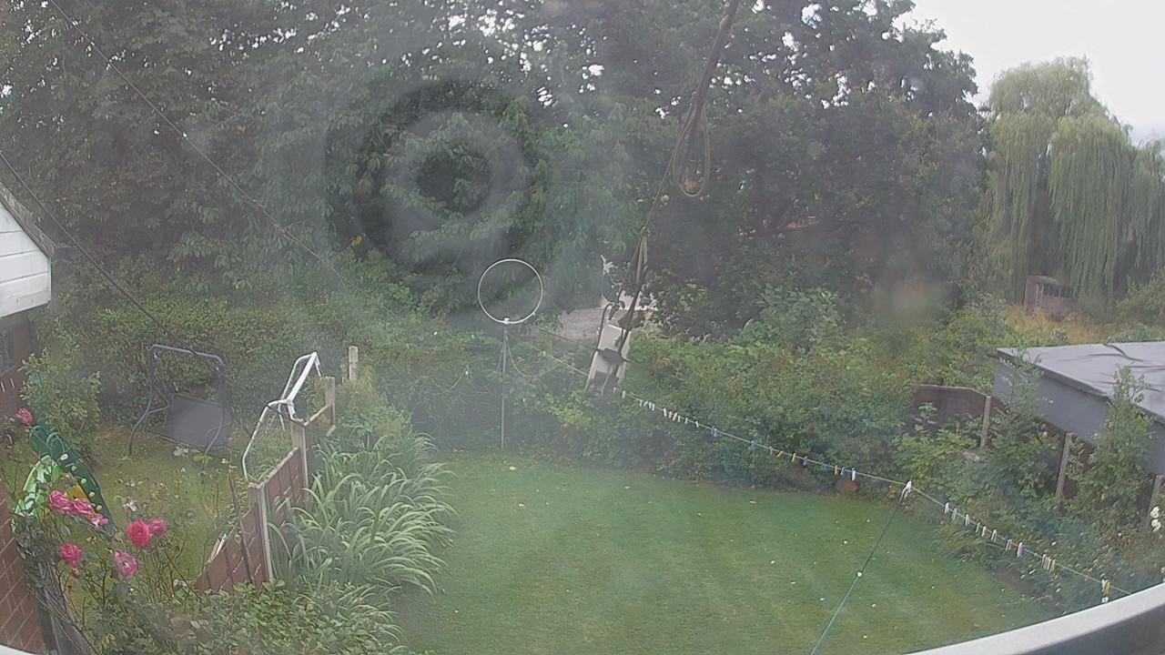 20260805_131650_cam1.jpg