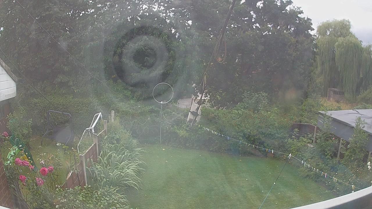20260805_131902_cam1.jpg