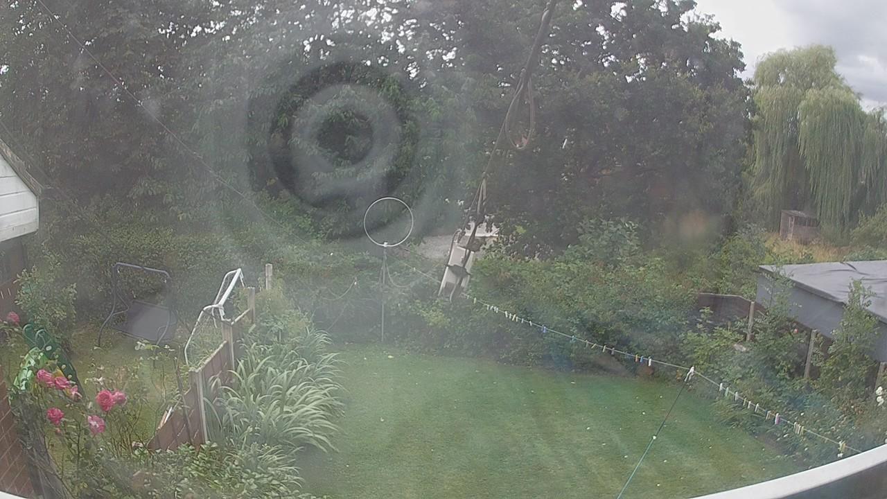 20260805_132326_cam1.jpg