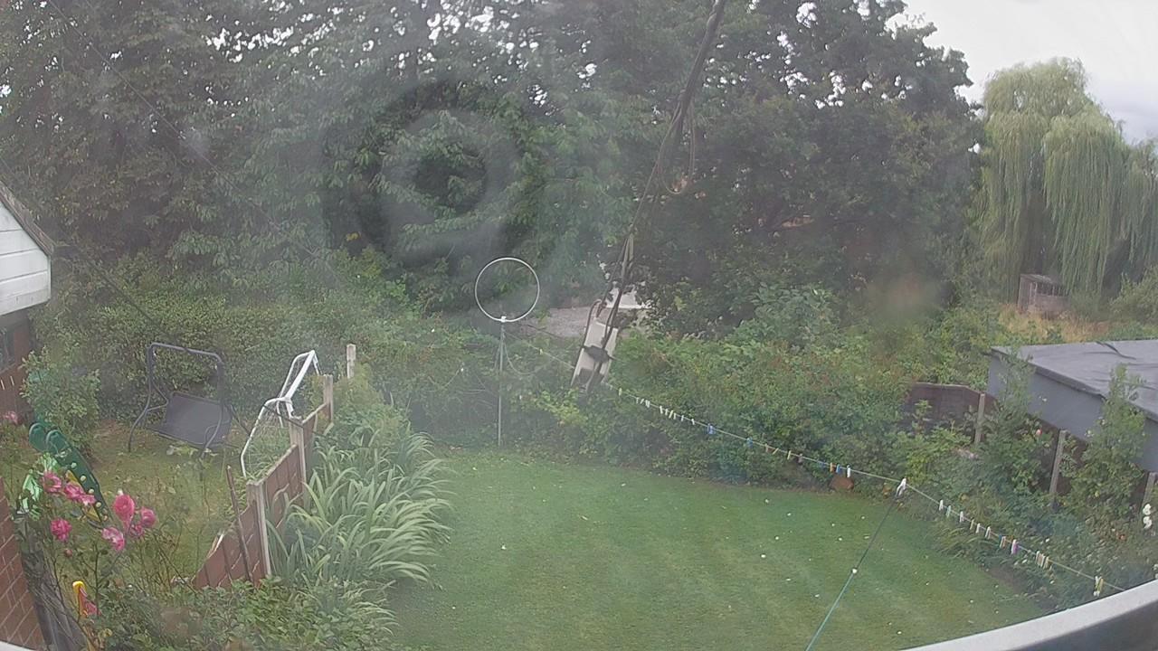 20260805_133002_cam1.jpg